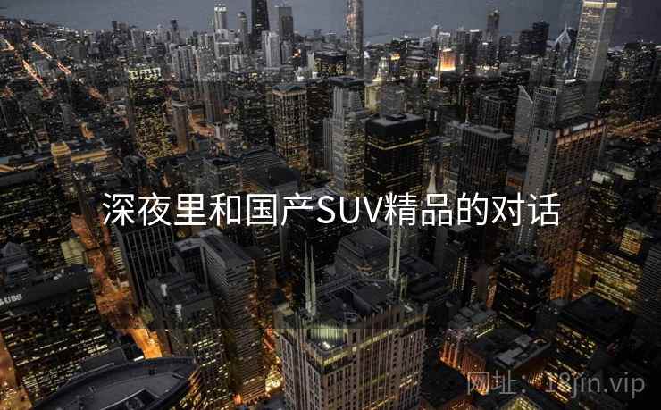 深夜里和国产SUV精品的对话