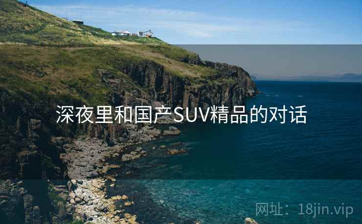 深夜里和国产SUV精品的对话  第2张
