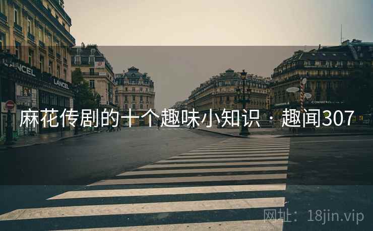 麻花传剧的十个趣味小知识 · 趣闻307 第2张 麻花传剧的十个趣味小知识 · 趣闻307 第2张