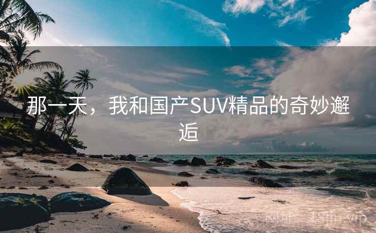 那一天，我和国产SUV精品的奇妙邂逅