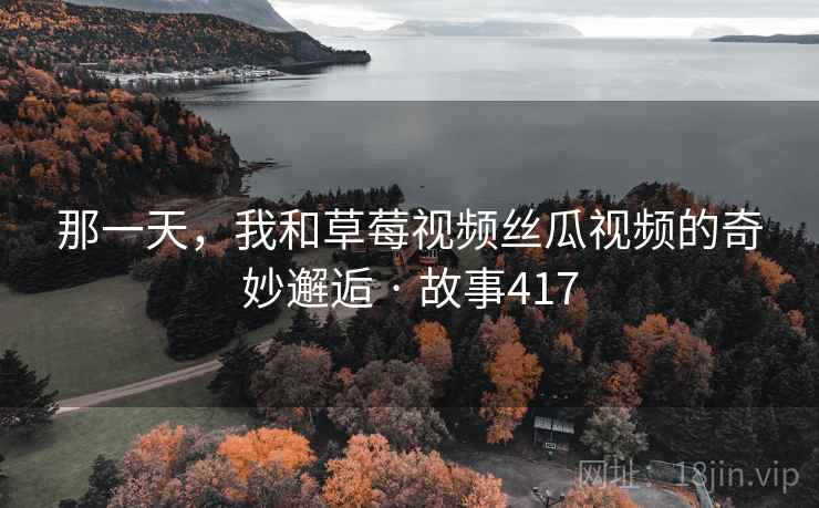 那一天，我和草莓视频丝瓜视频的奇妙邂逅 · 故事417