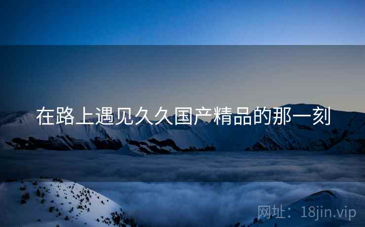 在路上遇见久久国产精品的那一刻 第2张 在路上遇见久久国产精品的那一刻 第2张