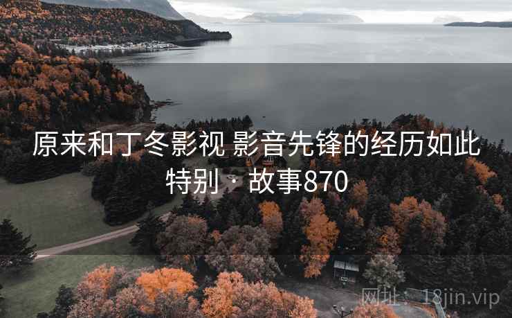 原来和丁冬影视 影音先锋的经历如此特别 · 故事870